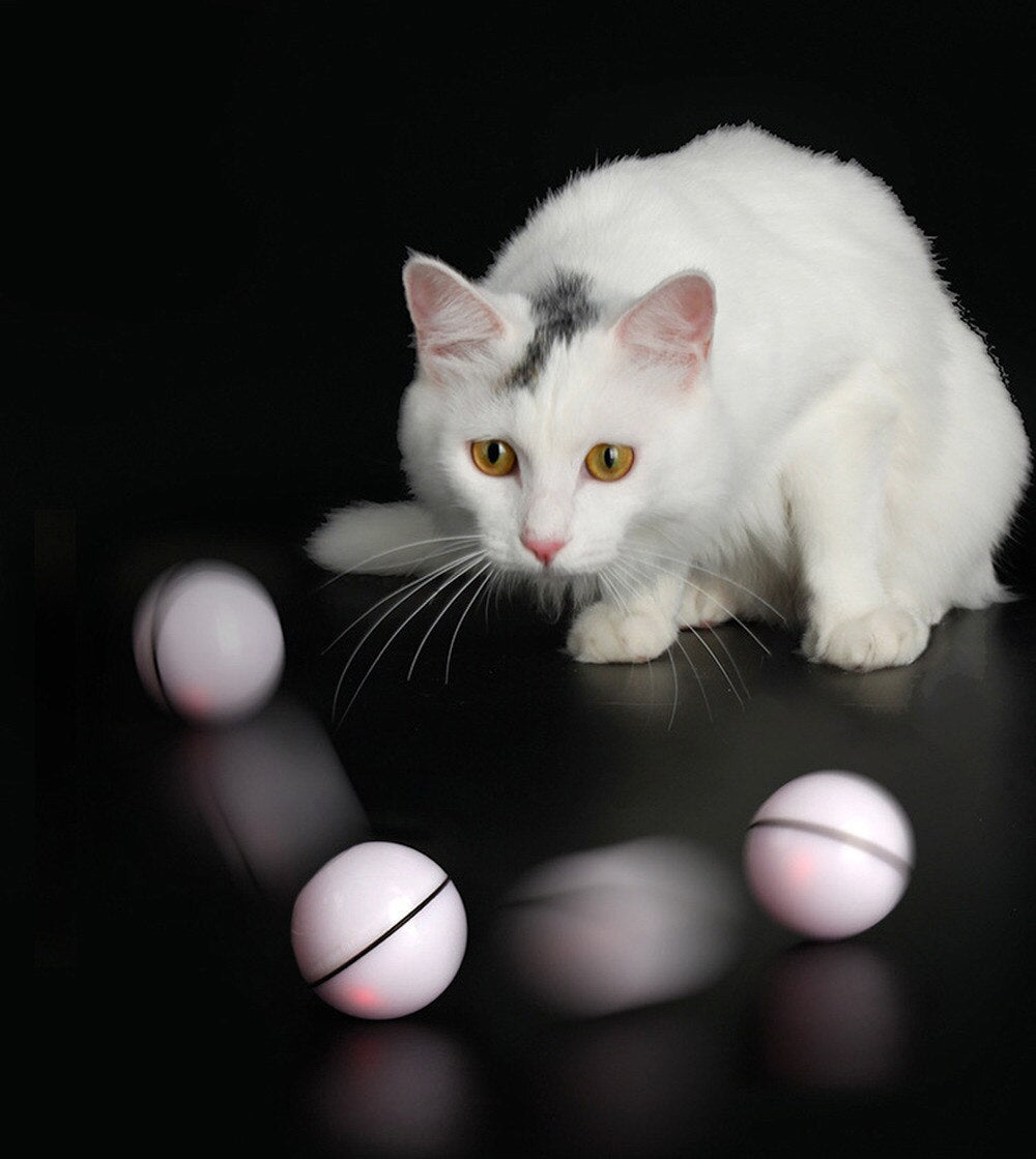 Smart LED Light Rolling Ball